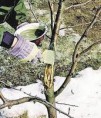 /album/fotogalereya/a21-jpeg/